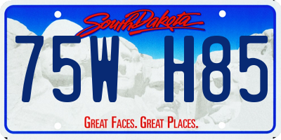 SD license plate 75WH85