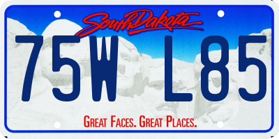 SD license plate 75WL85