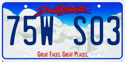 SD license plate 75WS03