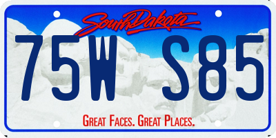 SD license plate 75WS85