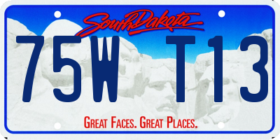 SD license plate 75WT13