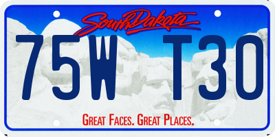 SD license plate 75WT30