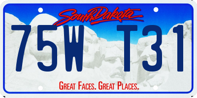 SD license plate 75WT31