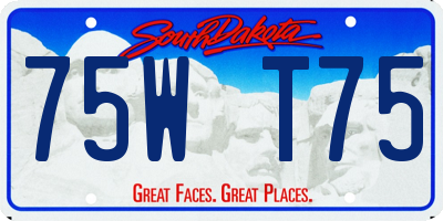 SD license plate 75WT75