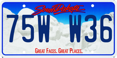 SD license plate 75WW36