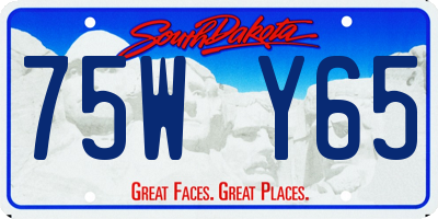 SD license plate 75WY65