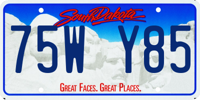 SD license plate 75WY85