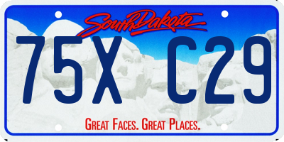 SD license plate 75XC29