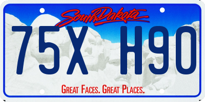 SD license plate 75XH90