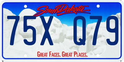 SD license plate 75XQ79