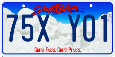 SD license plate 75XY01