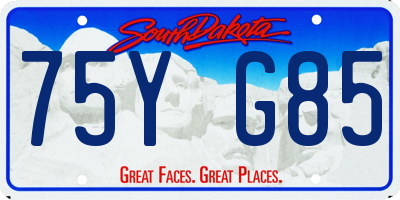 SD license plate 75YG85