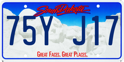 SD license plate 75YJ17