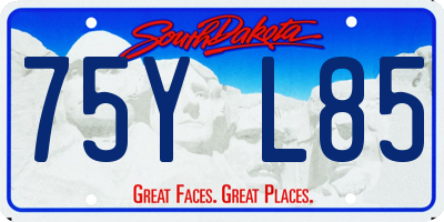SD license plate 75YL85