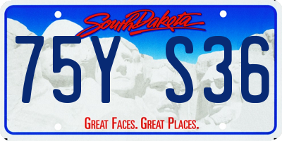 SD license plate 75YS36