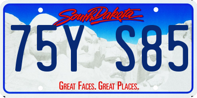 SD license plate 75YS85