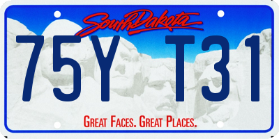 SD license plate 75YT31