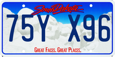 SD license plate 75YX96