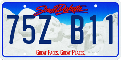 SD license plate 75ZB11