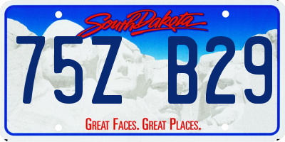 SD license plate 75ZB29