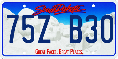 SD license plate 75ZB30