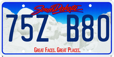 SD license plate 75ZB80
