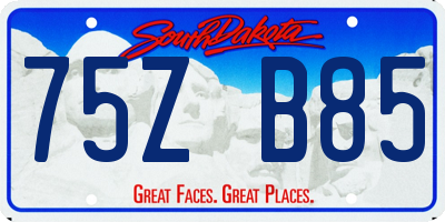 SD license plate 75ZB85