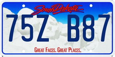 SD license plate 75ZB87