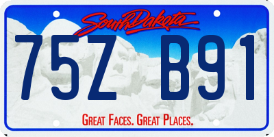 SD license plate 75ZB91