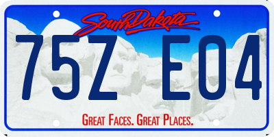 SD license plate 75ZE04