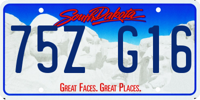 SD license plate 75ZG16