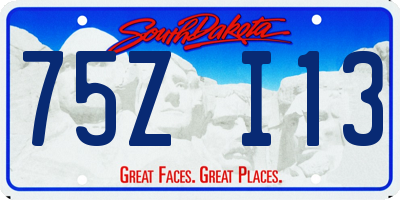 SD license plate 75ZI13