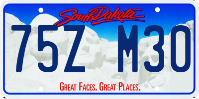 SD license plate 75ZM30