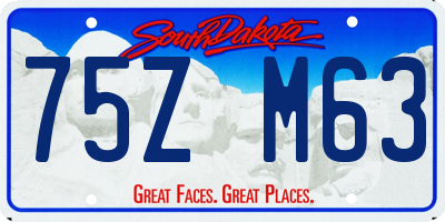 SD license plate 75ZM63