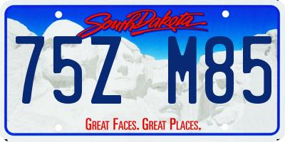 SD license plate 75ZM85