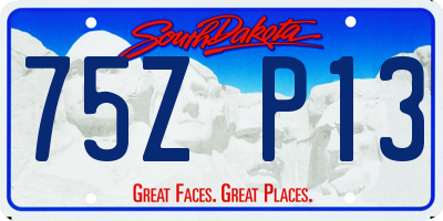 SD license plate 75ZP13