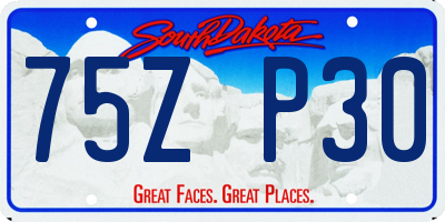 SD license plate 75ZP30