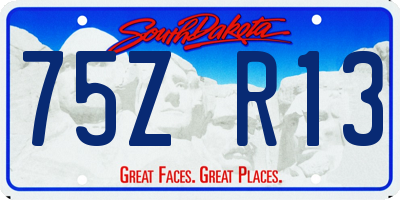 SD license plate 75ZR13