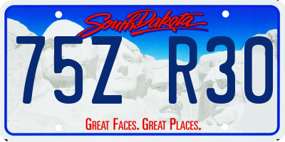 SD license plate 75ZR30