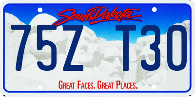 SD license plate 75ZT30