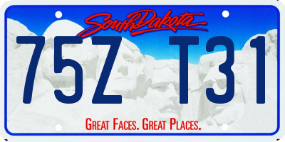 SD license plate 75ZT31