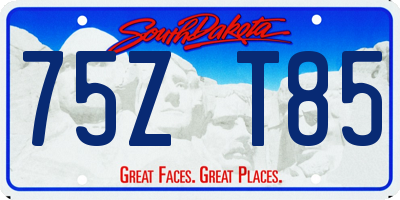 SD license plate 75ZT85