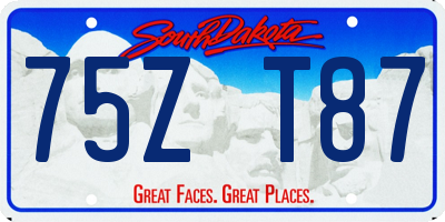 SD license plate 75ZT87
