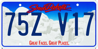 SD license plate 75ZV17