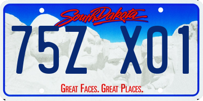 SD license plate 75ZX01