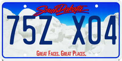 SD license plate 75ZX04