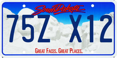 SD license plate 75ZX12