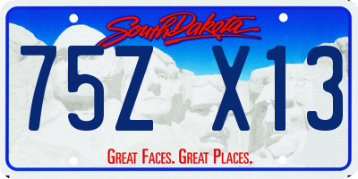 SD license plate 75ZX13