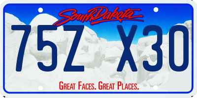 SD license plate 75ZX30