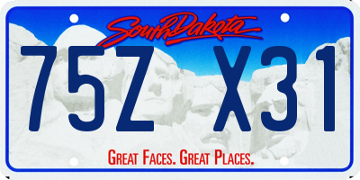 SD license plate 75ZX31